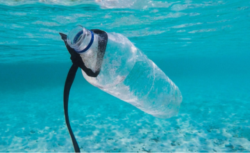 Plastic waste in ocean - biodegradable?