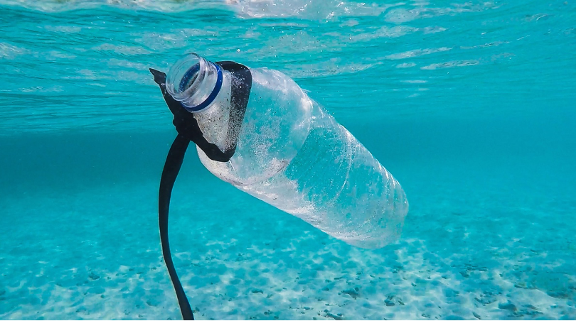 Plastic waste in ocean - biodegradable?